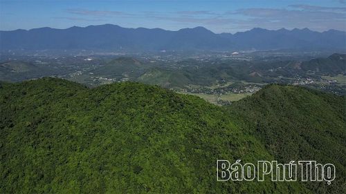 Đỉnh núi Sáng cao khoảng 640m so với mực nước biển. Từ trên cao nhìn xuống, những cánh rừng xanh nối tiếp nhau tạo nên khung cảnh hùng vĩ, mang đậm vẻ đẹp “sơn kỳ thủy tú”.