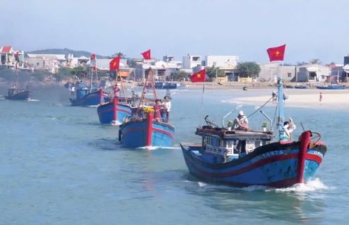 Tính đến ngày 4/6/2026, trên địa bàn thành phố có 2.823 tàu cá thuộc diện phải lắp đặt, áp dụng nhật ký khai thác thủy sản điện tử. Ảnh minh họa