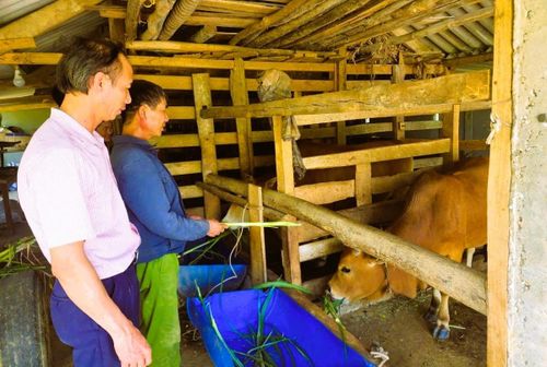Nhiều chương trình tín dụng ở Hà Tĩnh có mức tăng trưởng khá, phù hợp nhu cầu thực tế ...