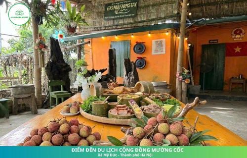 Một farmstay tại Mường Cốc. Ảnh: M.C