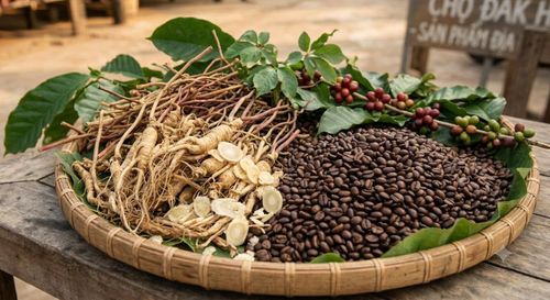 Caffeine là một hoạt chất tự nhiên có trong hạt cà phê và hơn 60 loại thực vật khác.