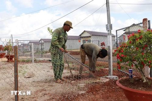 Người dân dựng hàng rào, chỉnh trang khuôn viên nhà ở để ổn định cuộc sống tại nơi ở mới trong điểm dân cư liền kề chốt dân quân biên giới bon Bu Dăr, xã Quảng Trực (tỉnh Lâm Đồng). (Ảnh: Nguyễn Huy Thành/TTXVN)