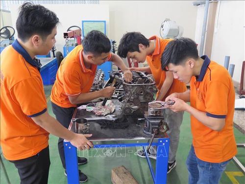 Sinh viên Trường Đại học Lạc Hồng, tỉnh Đồng Nai thực hành tháo lắp động cơ ô tô. Ảnh: Minh Hưng/TTXVN