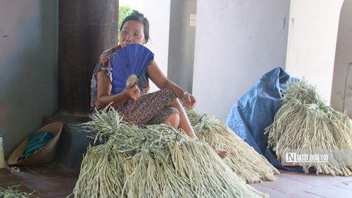 Những chiếc lá làm nón được xử lý kỹ lưỡng giúp cho người thợ có thể làm ra những chiếc nón có màu sắc đẹp.