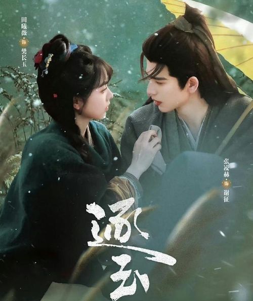 Phàn Trường Ngọc là cô gái xuất thân gia đình đồ tể, sống thực tế, mạnh mẽ và luôn tự mình gánh vác cuộc sống sau biến cố gia đình. Trong một lần tình cờ, nàng cứu được Tạ Chinh - vị Vũ An Hầu đang mang trong mình mối huyết thù kéo dài suốt 17 năm. Để che giấu thân phận và thuận tiện điều tra chân tướng vụ án diệt tộc, Tạ Chinh lựa chọn ẩn mình, giả làm gia đinh và đồng thời ký kết một cuộc hôn nhân giả với Trường Ngọc. Từ mối quan hệ mang tính lợi dụng và che đậy ban đầu, cả hai dần bị cuốn vào cuộc sống thường nhật nơi trấn nhỏ, cùng trải qua nhiều biến động, hiểu lầm và thử thách từ triều đình. Chính những va chạm ấy khiến khoảng cách giữa họ dần thu hẹp, để rồi tình cảm nảy sinh giữa lúc bí mật quá khứ từng bước bị phơi bày.