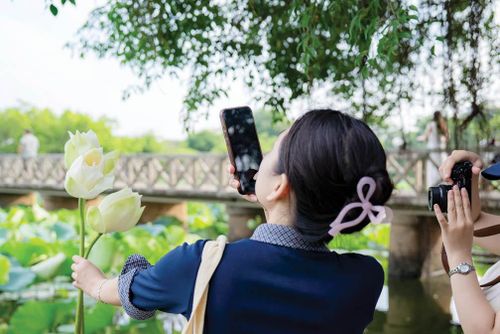  Du khách chụp ảnh hoa sen ngay bên hồ