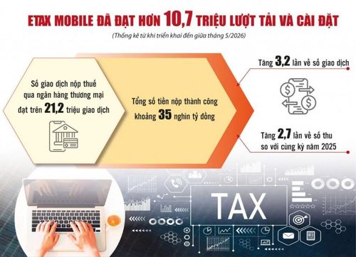 Nguồn: Cục Thuế. Đồ họa: Phương Anh