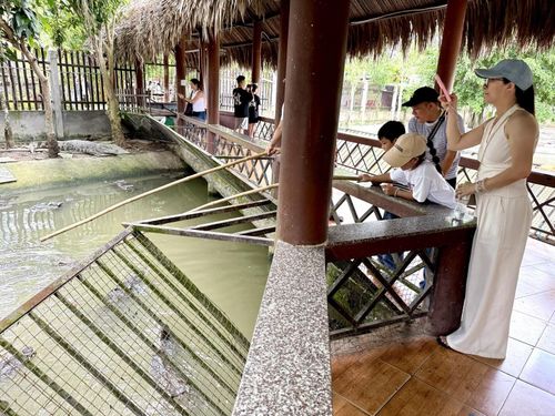 Trò chơi câu cá sấu mang đến cảm giác hồi hộp, là một trong những trải nghiệm đặc sắc tại Làng du lịch Mỹ Khánh.