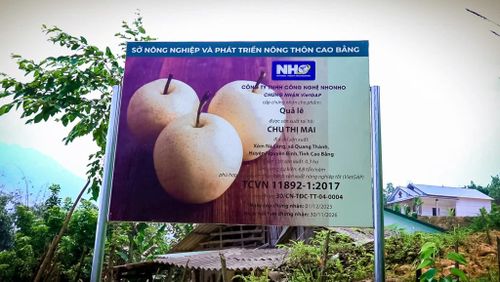 Quy trình trồng và chăm sóc theo tiêu chuẩn Vietgap được Sở Nông nghiệp và Môi trường hướng dẫn, tập huấn, phổ biến cho bà con.