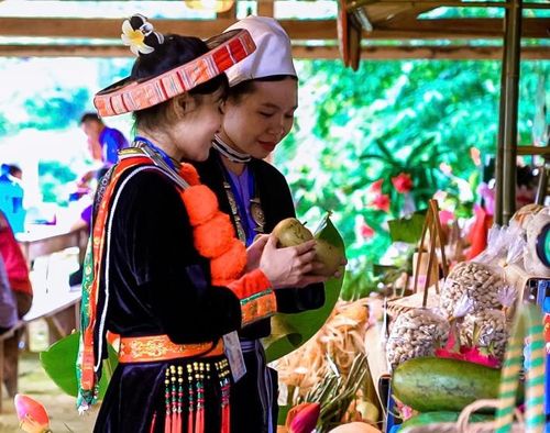 Hiện lê VH6 được triển khai ở các xóm và trở thành sản phẩm chủ lực của địa phương.