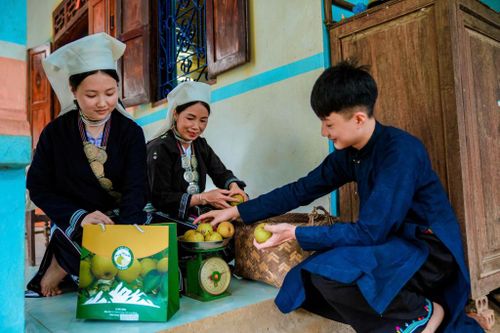 Hiện trên thị trường lê VH6 có giá từ 20.000 - 70.000/kg tùy theo kích thước và chất lượng.