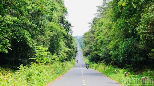 Thành phố Đồng Nai đầu tư xây dựng dự án đường kết nối từ cầu Mã Đà đến đường Vành đai 4-Thành phố Hồ Chí Minh với quy mô hoàn thiện 8 làn xe.
