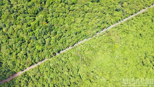 Tuyến đường được xây dựng trên cao dài 13km.