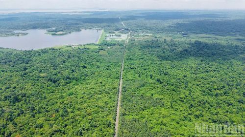 Việc xây dựng tuyến đường từ cầu Mã Đà đến Vành đai 4-Thành phố Hồ Chí Minh góp phần hình thành trục giao thông kết nối khu vực Tây Nguyên, khu vực phía bắc thành phố Đồng Nai với sân bay Long Thành và cảng Cái Mép-Thị Vải.