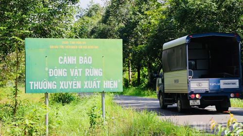 Khu vực xây dựng tuyến đường đi qua rừng đặc dụng, nơi có nhiều động vật rừng sinh sống, do đó, được thiết kế xây đường trên cao để không chia cắt sinh cảnh sống.