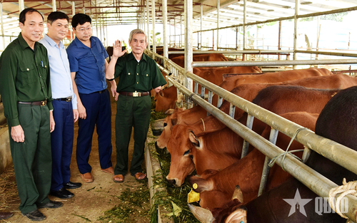 Thương binh Phạm Thanh Xuân (ngoài cùng, bên phải) xây dựng cơ nghiệp từ một bàn tay. 