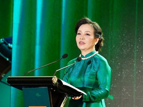  Tiến sĩ Ngô Phương Lan nhấn mạnh tầm quan trọng của DANAFF đối với sự phát triển của nền điện ảnh nước nhà. 