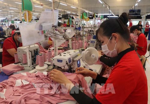 Công nhân Công ty TNHH NV APPAREL, Khu Công nghiệp Bình Hòa, tỉnh An Giang sản xuất hàng may mặc xuất khẩu. Ảnh: Lê Huy Hải - TTXVN