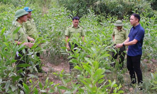 Đại diện doanh nghiệp và cán bộ kiểm lâm chia sẻ các điều kiện đáp ứng tiêu chuẩn xuất khẩu lâm sản.