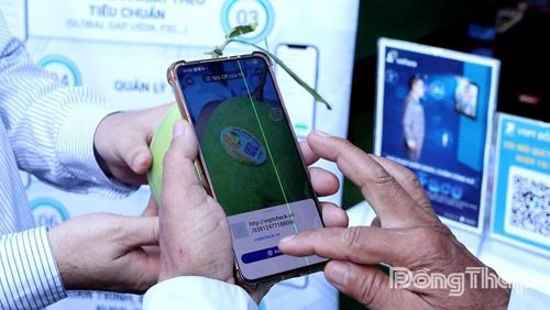 Nhà vườn xã Mỹ Thọ ứng dụng mã QR để truy xuất nguồn gốc, cung cấp thông tin về quy trình sản xuất xoài, góp phần nâng cao tính minh bạch và niềm tin của người tiêu dùng. Ảnh: Thúy Nhi