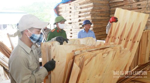 Cán bộ Cơ sở cai nghiện ma túy tỉnh hướng dẫn, giám sát các học viên tham gia lao động trong thời gian cai nghiện ma túy