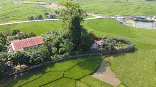 Sự kết hợp hài hòa giữa núi, suối, cây xanh, đồng ruộng và làng bản đã tạo không gian văn hóa “sơn thủy hữu tình” đặc sắc, phản ánh triết lý âm dương, sống hòa hợp với thiên nhiên của cư dân địa phương qua nhiều thế hệ.