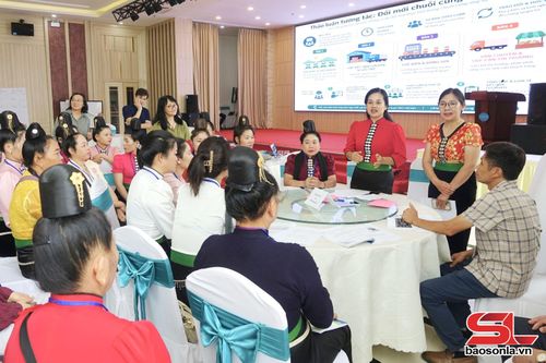 Đại diện các HTX tham gia thảo luận, chia sẻ kinh nghiệm trong tổ chức sản xuất, xây dựng thương hiệu và phát triển chuỗi giá trị nông sản.