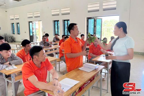 Lớp đào tạo nghề kỹ thuật trồng, chăm sóc, thu hoạch và sơ chế cà phê cho học viên cai nghiện ma túy.