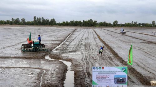 Nhiều phương pháp sạ lúa tiên tiến áp dụng trong ngành nông nghiệp ở An Giang.