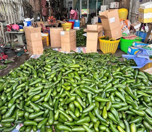 Nguồn cung tăng khiến giá bơ giảm mạnh.