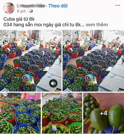 Trên mạng xã hội, nhiều bài đăng bán bơ với giá rẻ.