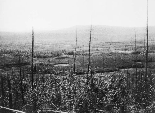 Những cây bị hư hại tại hiện trường vụ nổ Tunguska. (Ảnh: Getty Images)