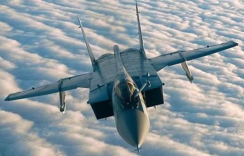 MiG-31 được phát triển đặc biệt cho chuyến bay tầm rất xa, địa bàn hoạt động chủ yếu là vùng Viễn Bắc sát Bắc Cực. Ngoài tầm bay xa, tiêm kích này còn có tốc độ hành trình cao nhất thế giới khi đạt gần Mach 2,3, và radar lớn nhất trong số các máy bay chiến thuật.