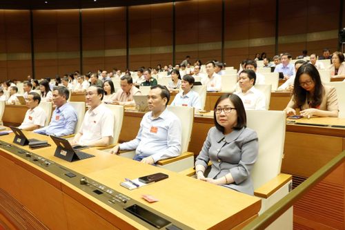 Đại biểu tham dự hội nghị. Ảnh: Phương Hoa - TTXVN