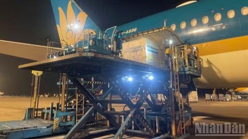 Mỗi chuyến bay đặc biệt là một “sứ mệnh quốc gia” của Vietnam Airlines.