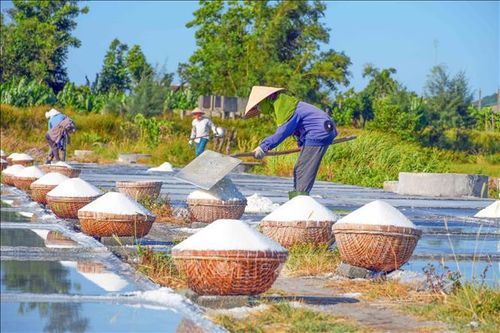 Những rổ muối trắng được tập kết chờ vận chuyển về kho.