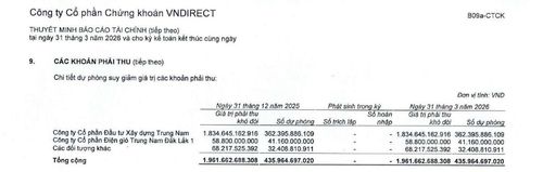 Nguồn: BCTC quý I/2026 VNDirect