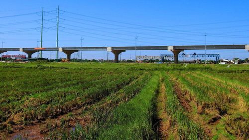 Liên danh các nhà đầu tư thực hiện dự án gồm Công ty TNHH Đầu tư địa ốc Thành phố (CityLand), Công ty TNHH Hoa Hướng Dương Sài Gòn (Saigon Sunflower), Tổng công ty Đầu tư phát triển đường cao tốc Việt Nam (VEC), Công ty cổ phần Đầu tư Horizon (Horizon).