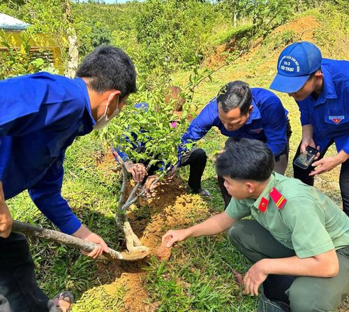 Tuổi trẻ Trà Giáp trồng hoa giấy, xây dựng tuyến đường xanh tại làng Boa, thôn 3. Ảnh: NGUYỄN BÌNH