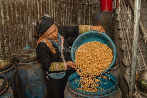 Khi men đã ngấm, ngô được cho vào các thùng lớn, đậy nắp kín và ủ trong khoảng một tháng.