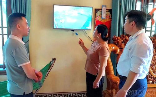 Bà Nguyễn Thị Ngư theo dõi đàn lợn qua hệ thống camera.
