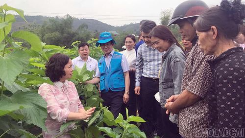Người dân Chấn Thịnh tích cực tham gia tập huấn kỹ thuật.