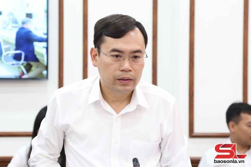 Lãnh đạo Ban Tổ chức Tỉnh ủy báo cáo tại cuộc làm việc.