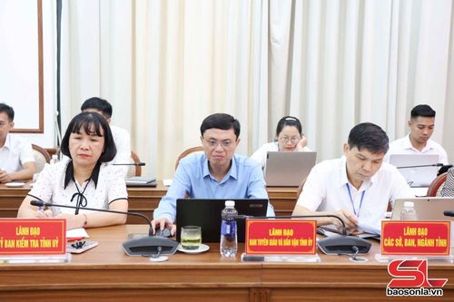 Các đại biểu tham dự cuộc làm việc.