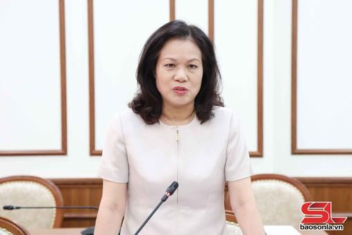 Thành viên Đoàn công tác nêu ý kiến tại cuộc làm việc.