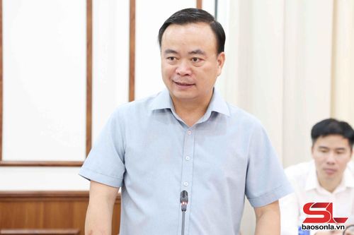 Đồng chí Phó Chủ tịch Thường trực UBND tỉnh phát biểu tại cuộc làm việc.