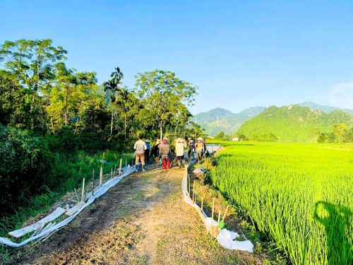 Người dân tham gia làm đường liên thôn, liên bản trong Cuộc vận động “Toàn dân đoàn kết xây dựng nông thôn mới, đô thị văn minh”, góp phần xây dựng hạ tầng và bồi đắp tinh thần đoàn kết ở cơ sở. Nguồn ảnh: laocai.gov.vn.