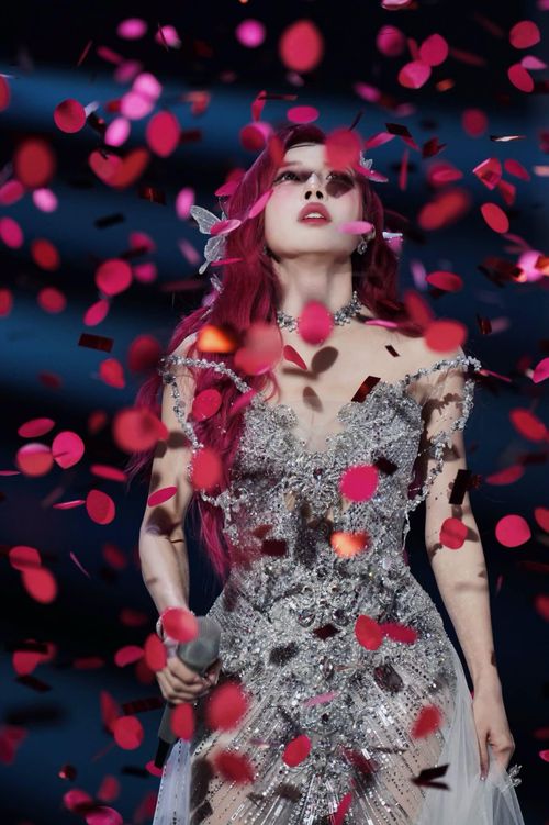 Trước thềm chung kết,Trang Pháp nhận được nhiều lời động viên từ đồng nghiệp và người hâm mộ. Ảnh: FBNV