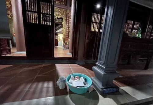 Cháu bé được bỏ trong chậu nhựa để trước cửa chùa. Ảnh: TP.