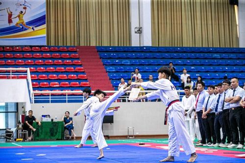 Hơn 8.000 vận động viên dự Giải thể thao các môn hè thành phố Hà Nội